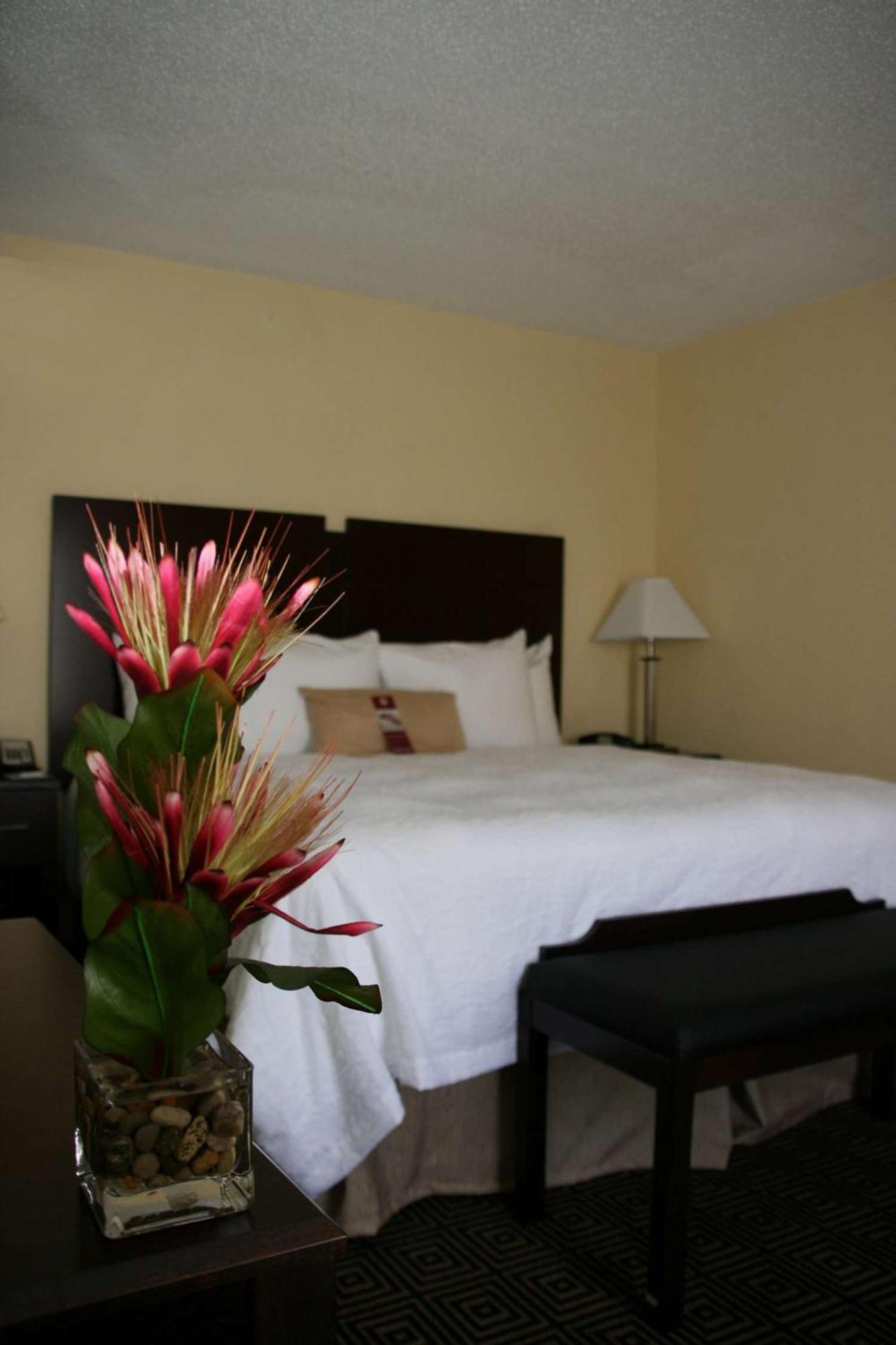 Hampton Inn & Suites Orlando-John Young Parkway/South Park Екстериор снимка